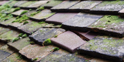 Wendens Ambo roof repair costs